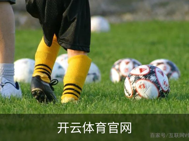 了解开云体育官网